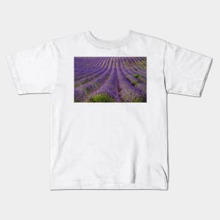 Purple lines Kids T-Shirt